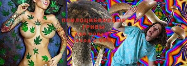 бошки Касимов