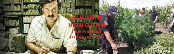 бошки Касимов