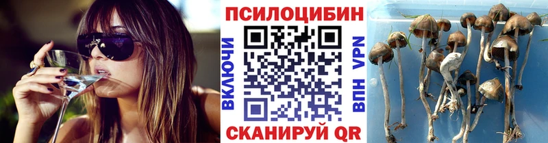 Галлюциногенные грибы GOLDEN TEACHER  цена наркотик  Неман 